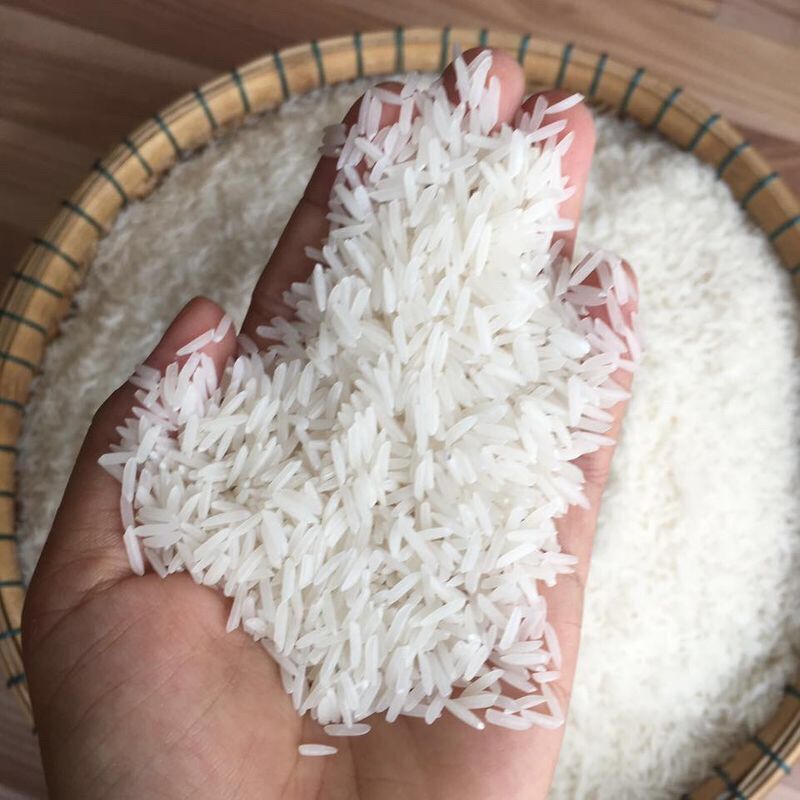 Gạo ST25 - Túi 5kg Thượng Hạng