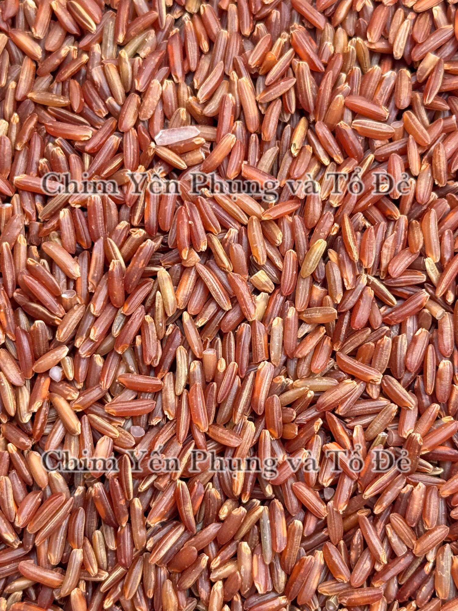 1kg Gạo Đỏ Huyết Rồng – Gạo Lứt Huyết Rồng Tự Nhiên, Dinh Dưỡng