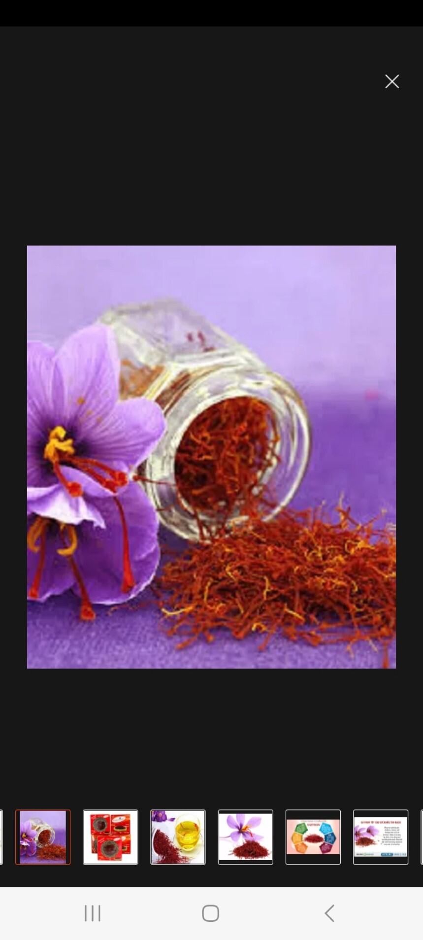 Saffron nhụy hoa nghệ tây chính hãng
