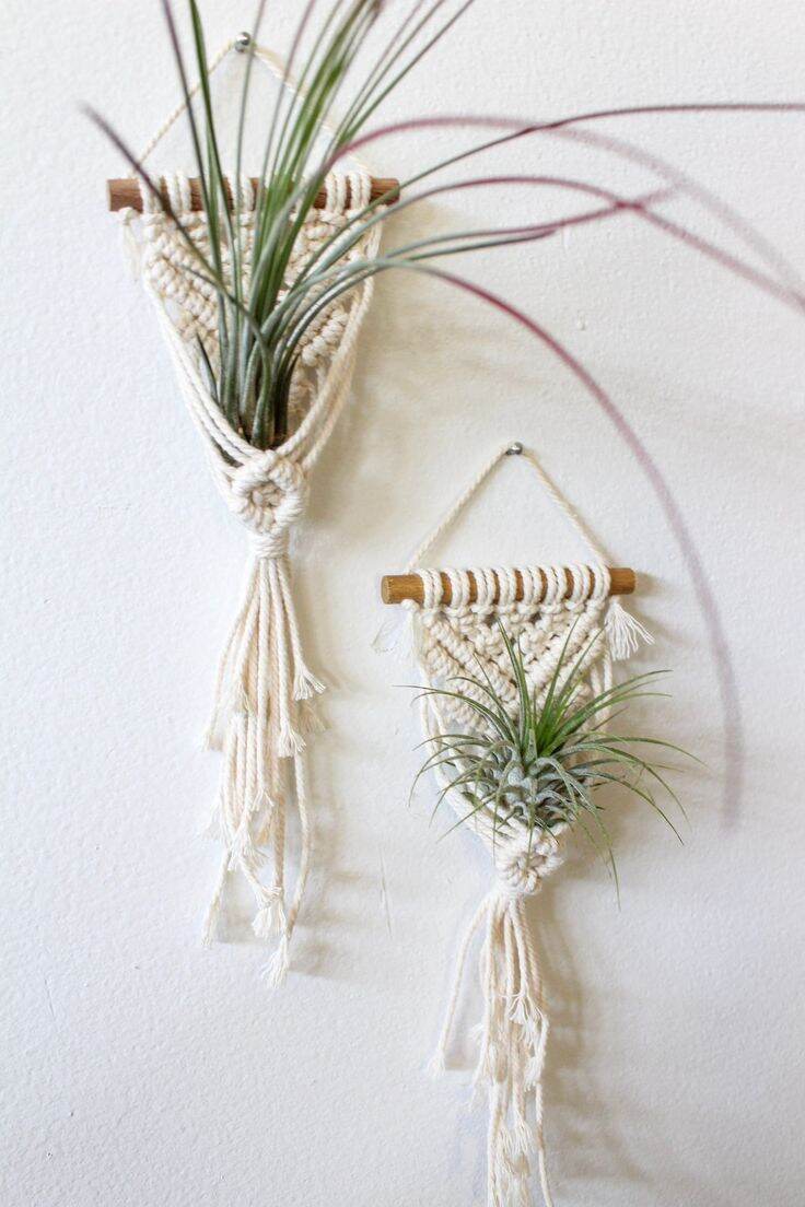 Set 2 dây macrame treo cây không khí trang trí tường sống động
