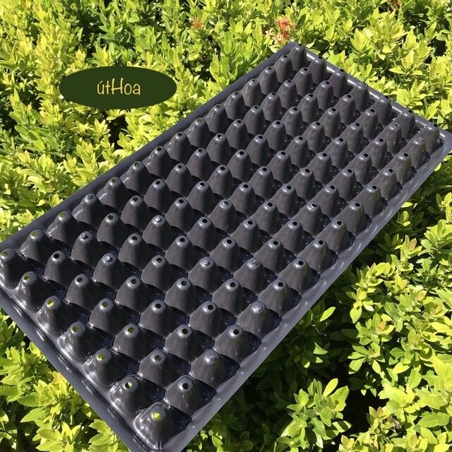 Combo 10 Khay Ươm Hạt 32,50,72,105,200 Lỗ ( Loại Dày)