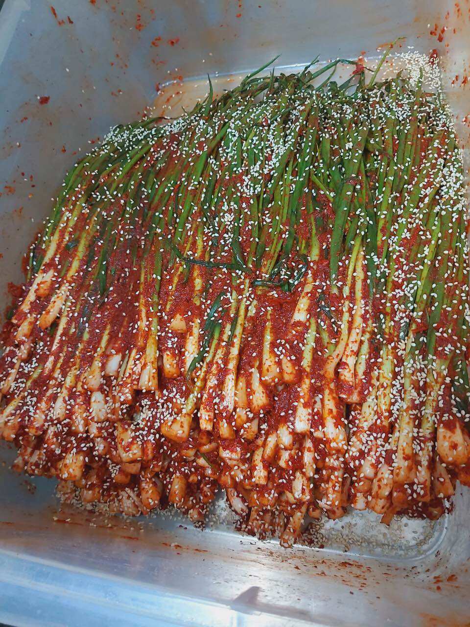 Kimchi hành lá MiMi(hộp 500gr)