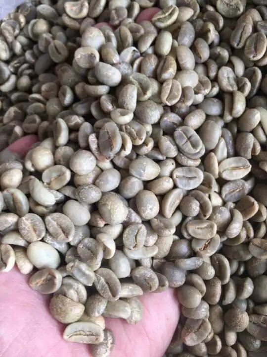 Nhân cà phê arabica cầu đất chất lượng cao (600g) (namlongshopxin)