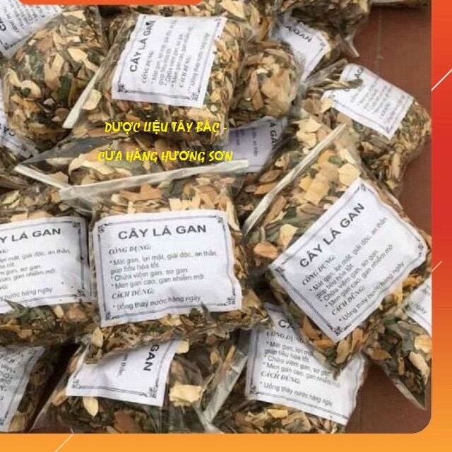 CÂY LÁ MÁT GAN - DƯỢC LIỆU TÂY BẮC (1KG)