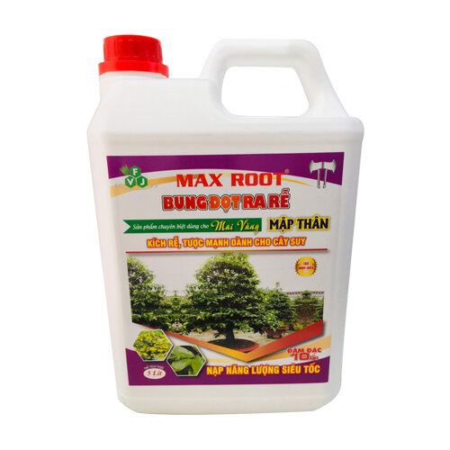 BUNG ĐỌT RA RỄ MAI VÀNG - CAN 5 LÍT.