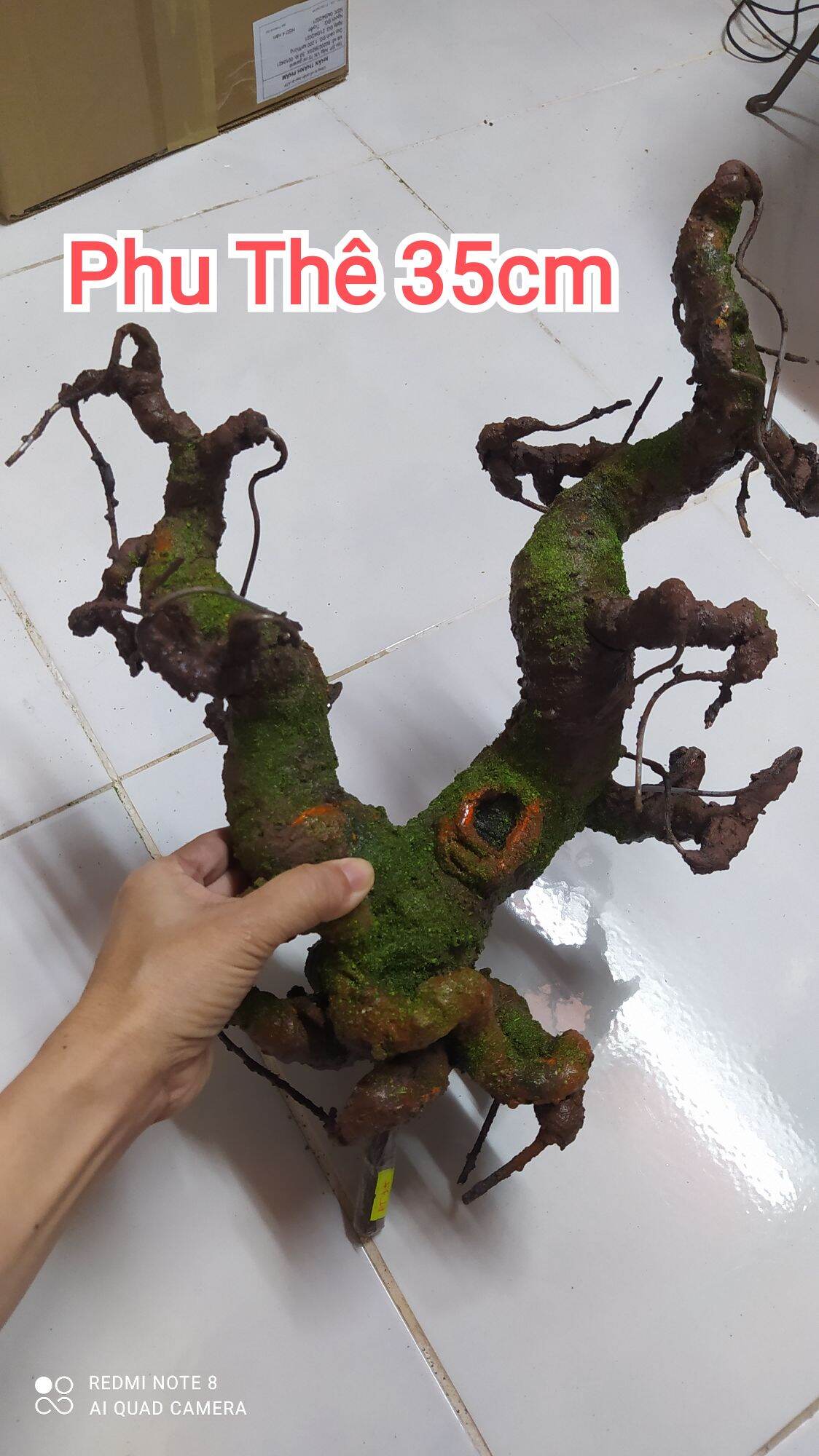 Gốc bonsai mai đào giả dáng phu thê 25cm 3d