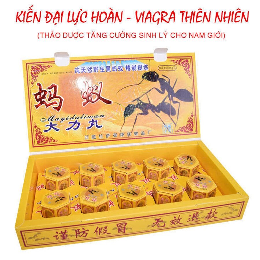 Combo 10 viên bổ thận nam kiến càng đen Tây Tạng