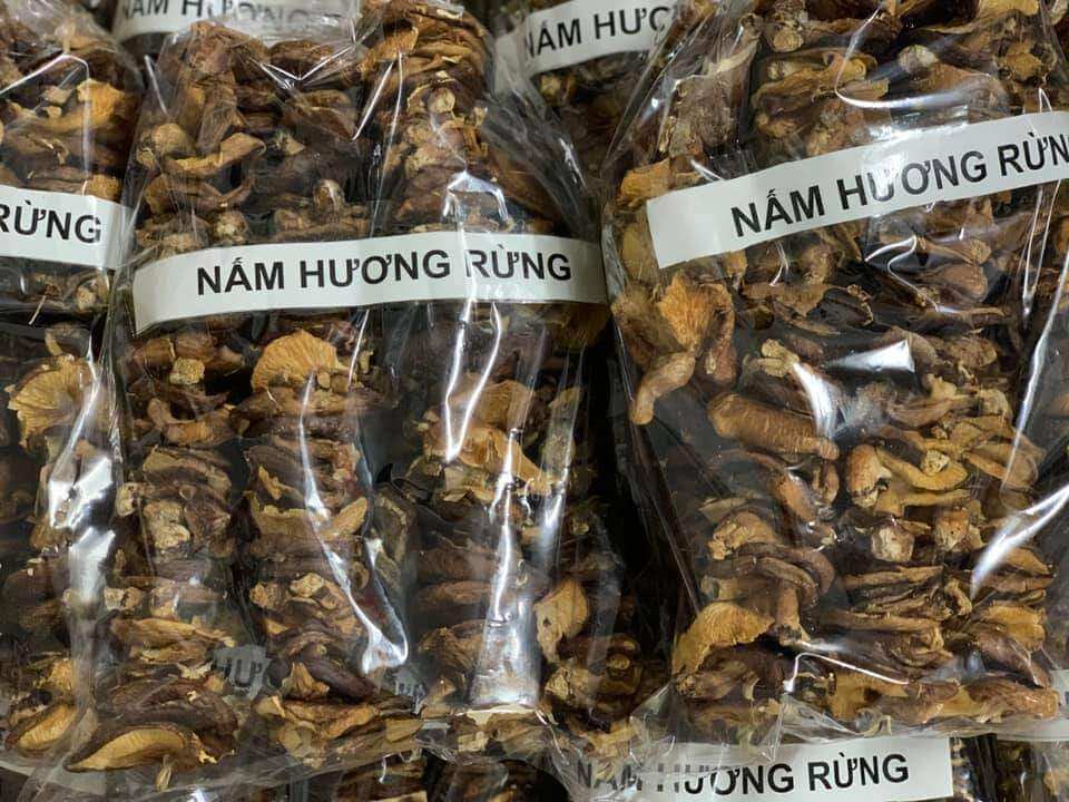 Nấm hương rừng tây bắc 500g thơm ngon