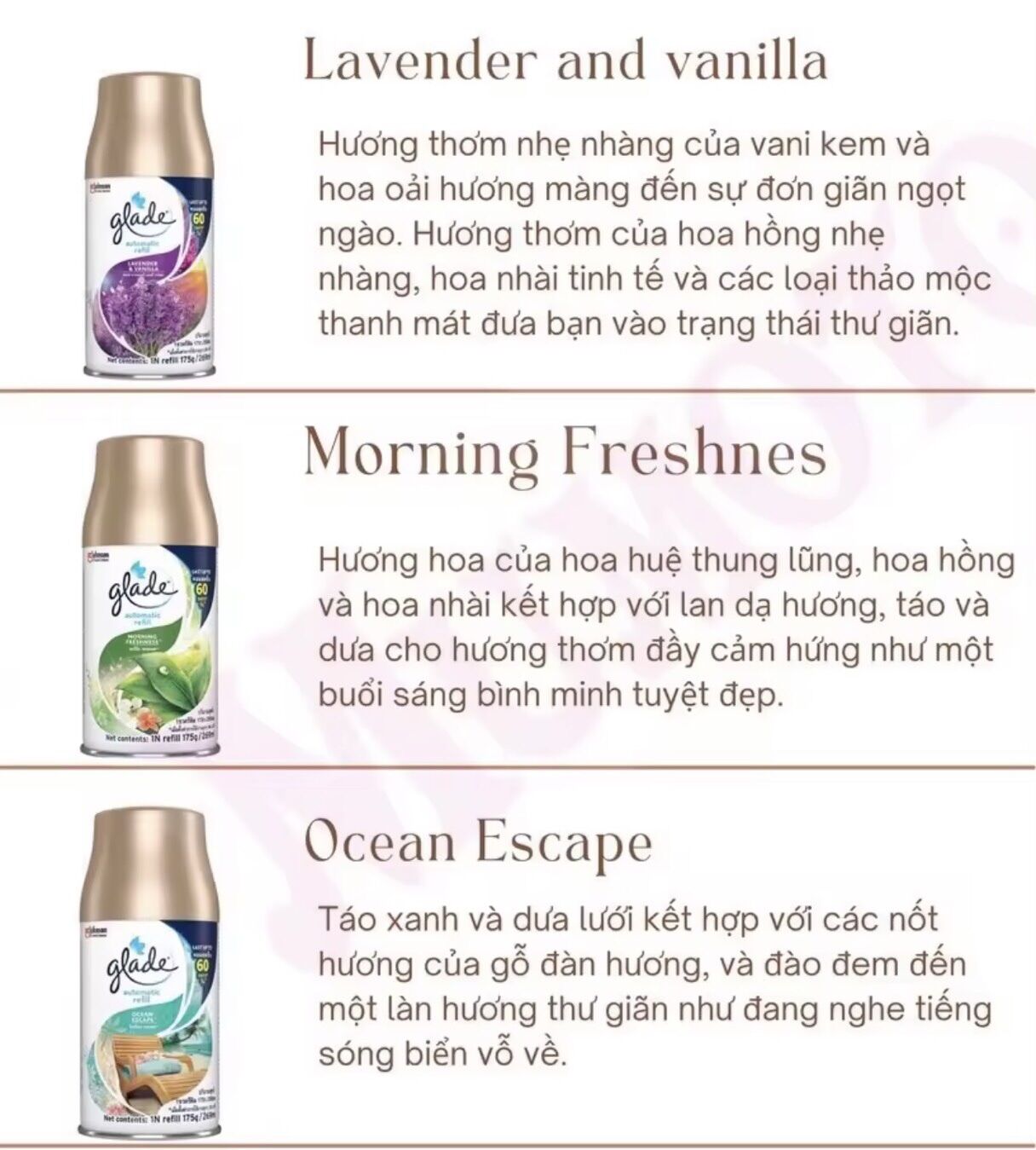 Xịt thơm phòng tự động Glade hương levender