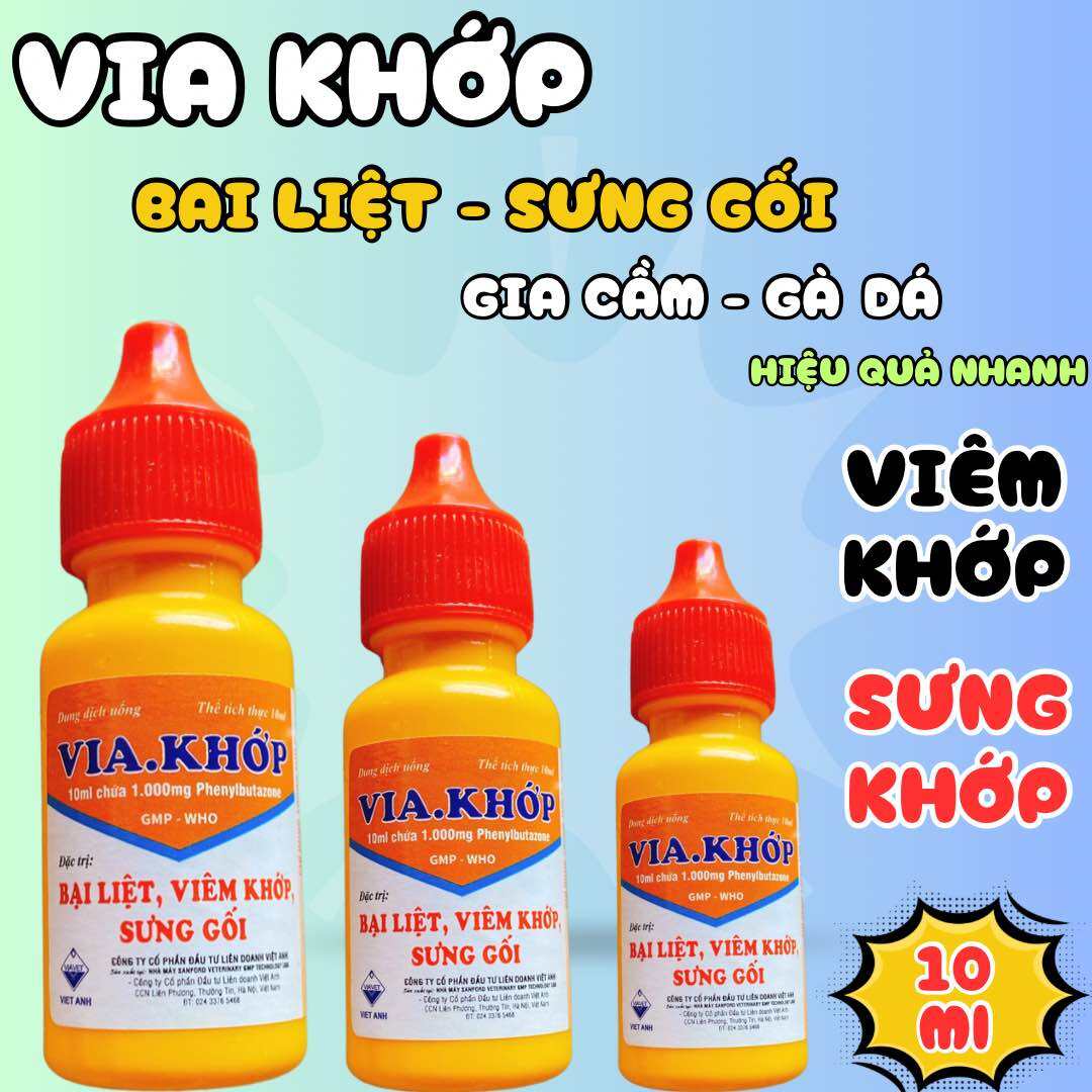 Via Khớp 10ml bại liệt, sưng gối, viêm khớp gà đá, gà con