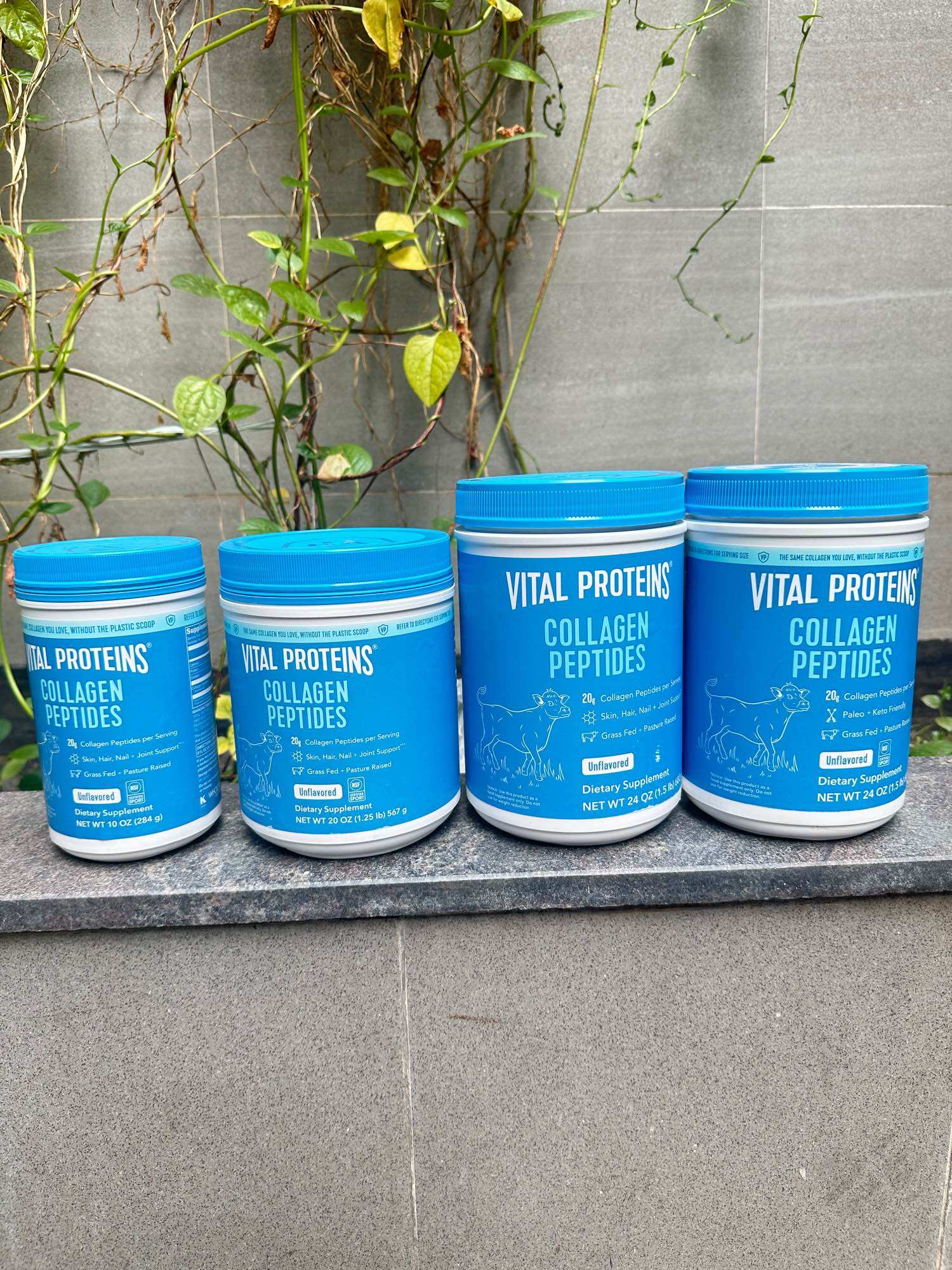Date 2028-2029 COLLAGEN THỦY PHÂN 𝐕𝐈𝐓𝐀𝐋 𝐏𝐑𝐎𝐓𝐄𝐈𝐍 𝐂𝐎𝐋𝐋𝐀𝐆𝐄𝐍 𝐏𝐄𝐏𝐓𝐈𝐃𝐄𝐒 UNFLAVORED