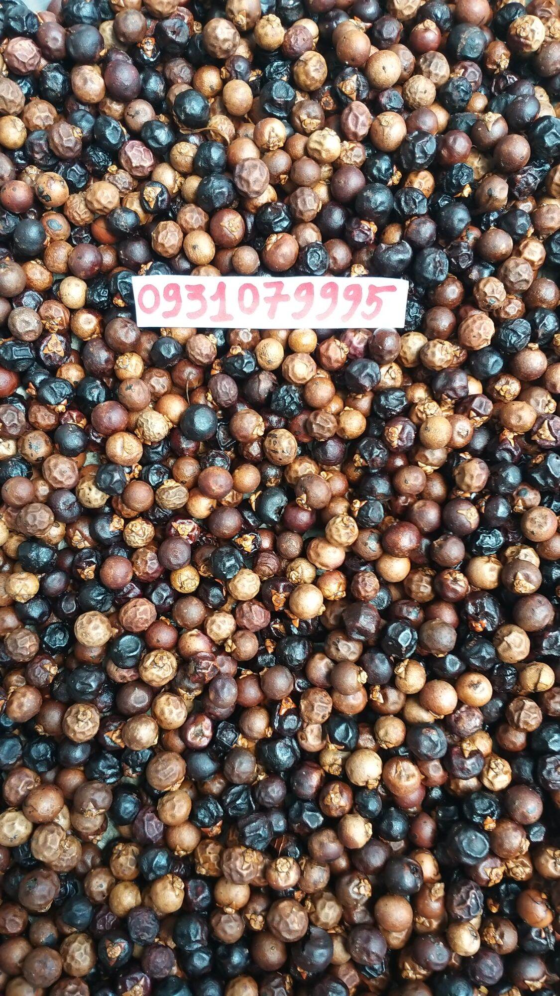 Trái đủng đỉnh phơi khô 1kg
