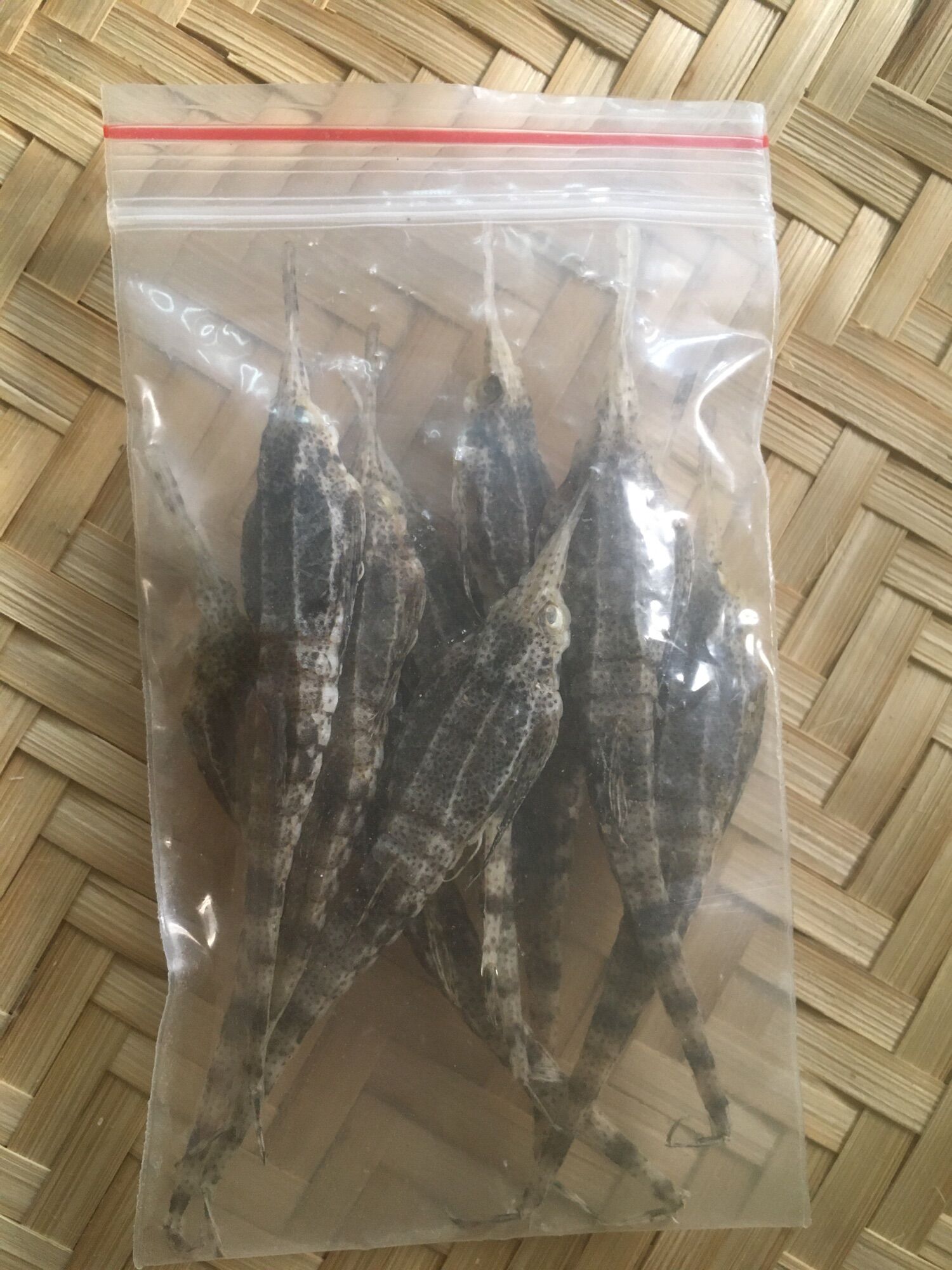 Combo 10 con cá hải yến Phú Quốc- Kiên Giang