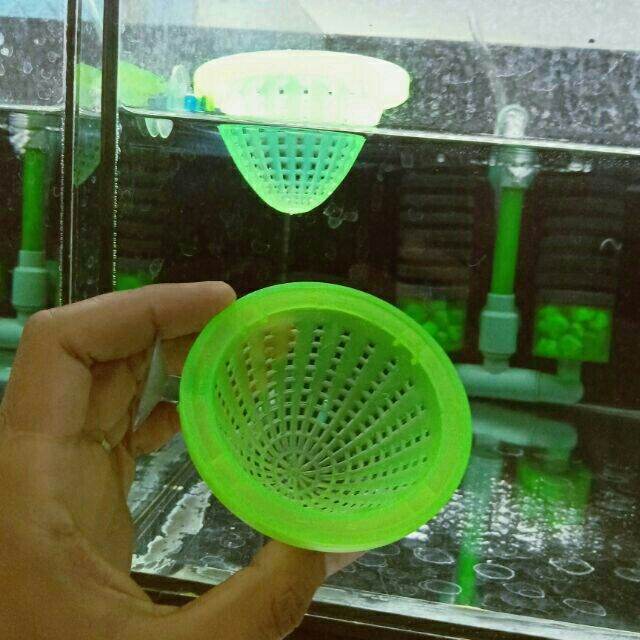 Phễu trùn ,Rỗ Đựng Trùn chỉ