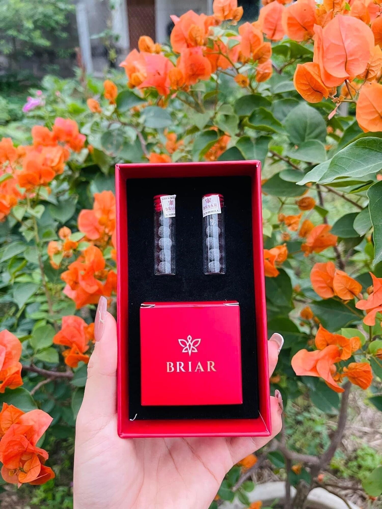 Viên đặt se khít sạch BRIAR ( chính hãng )