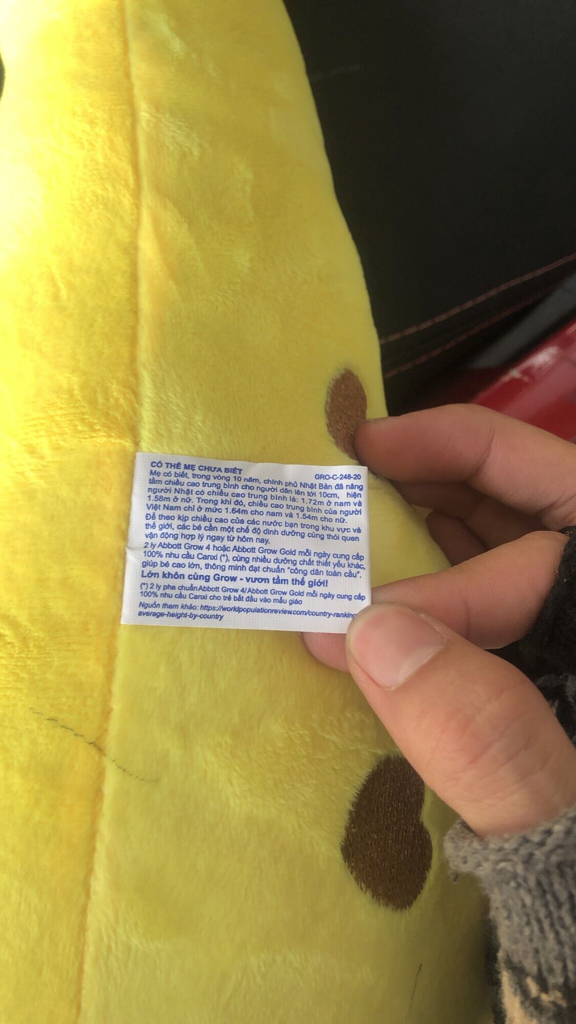 [HCM]???? THÚ BÔNG HƯƠU CAO CỔ ????