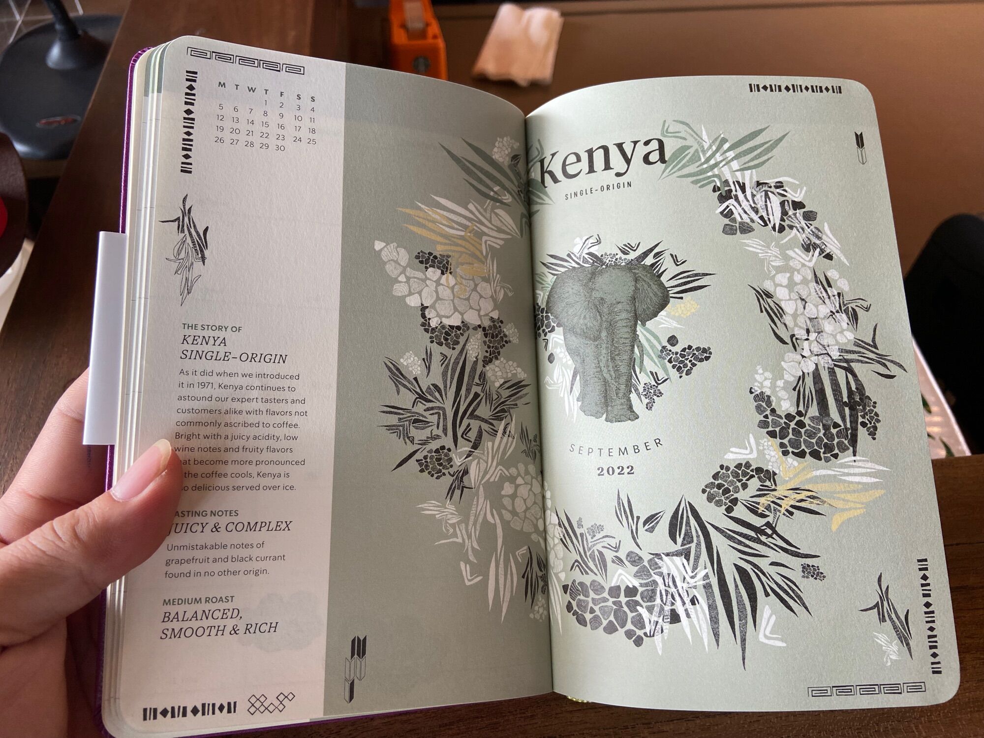 Sổ Planner 2022 Starbucks + Moleskine