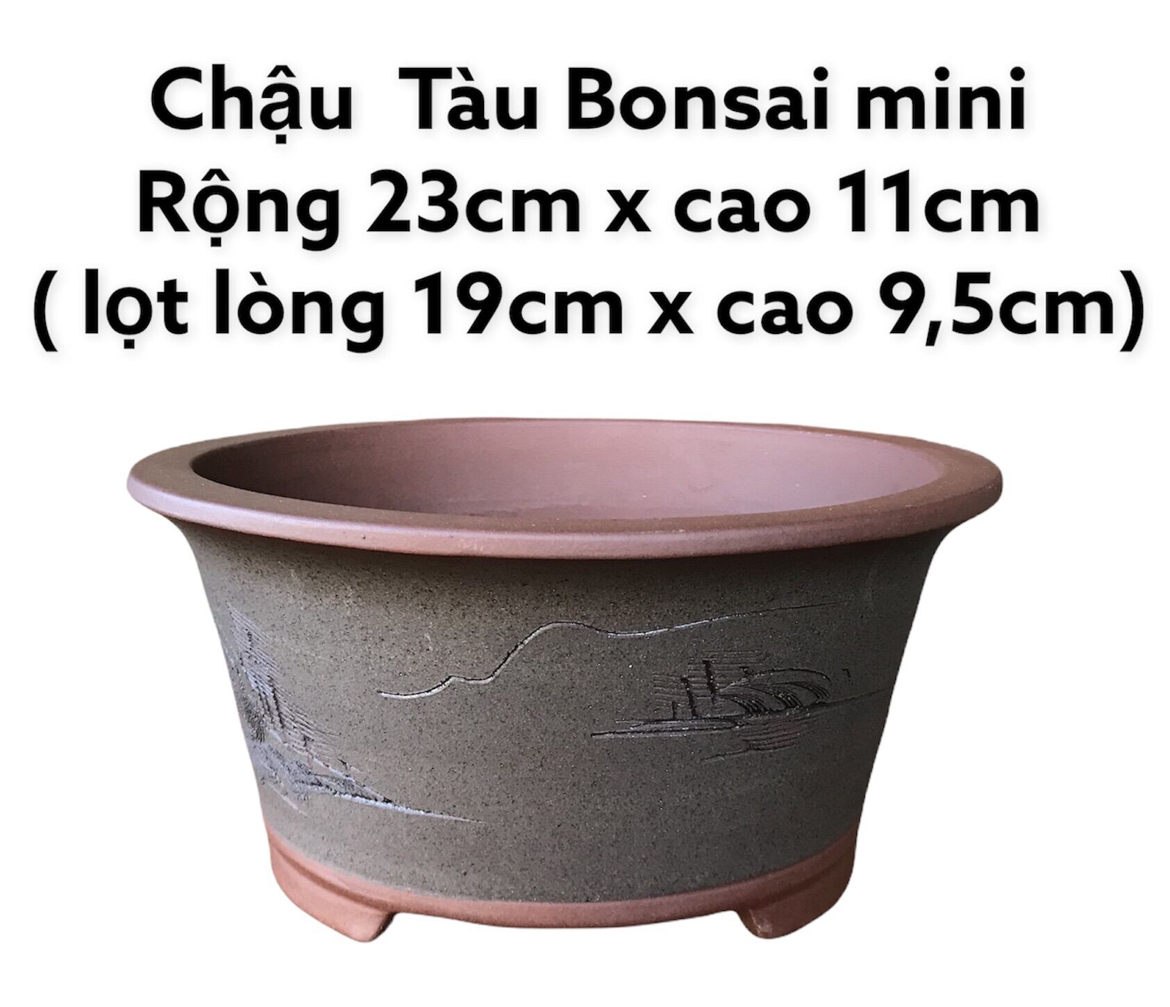 Chậu Tàu bonsai