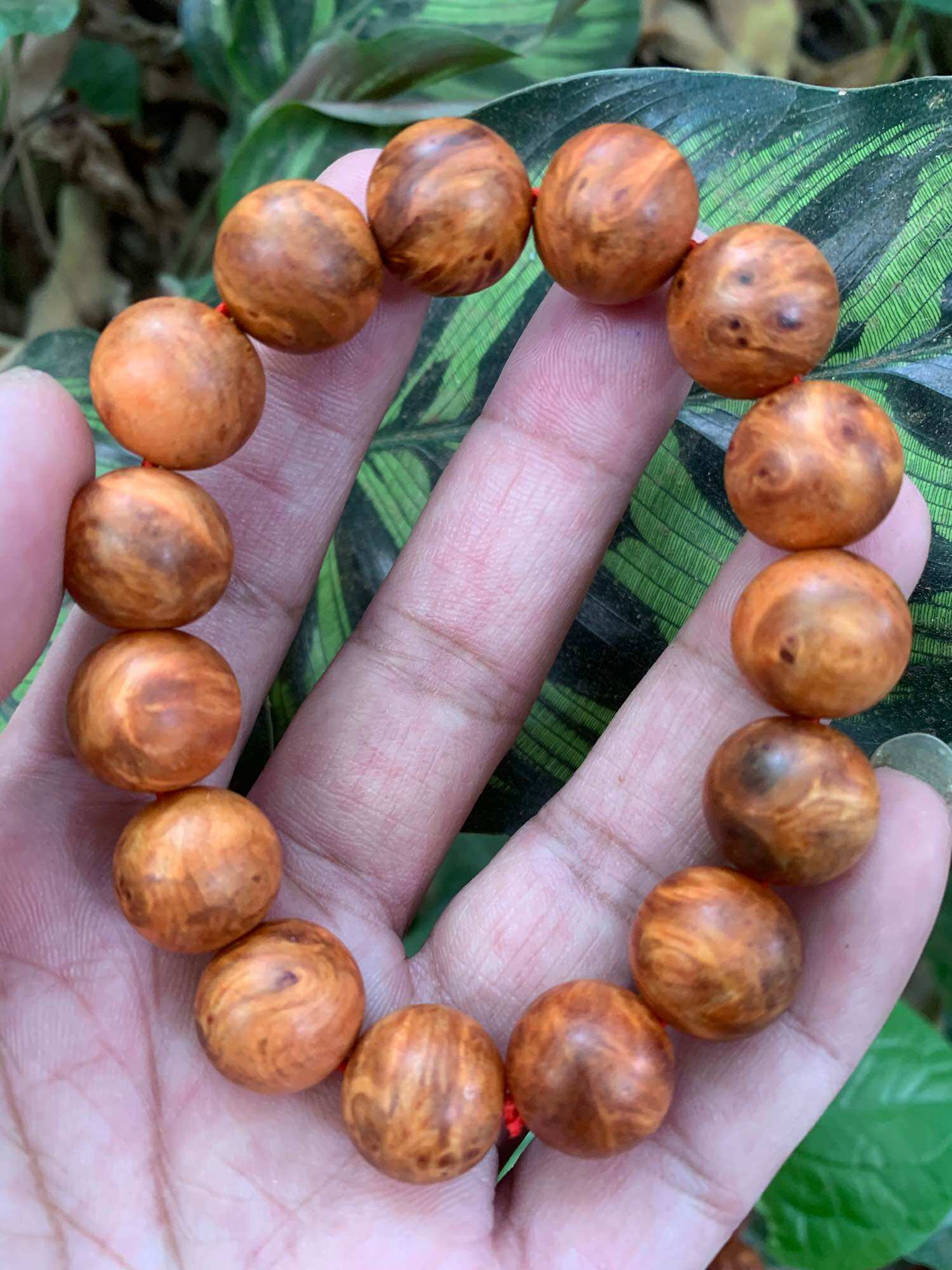 Vòng nu huyết long cao cấp.