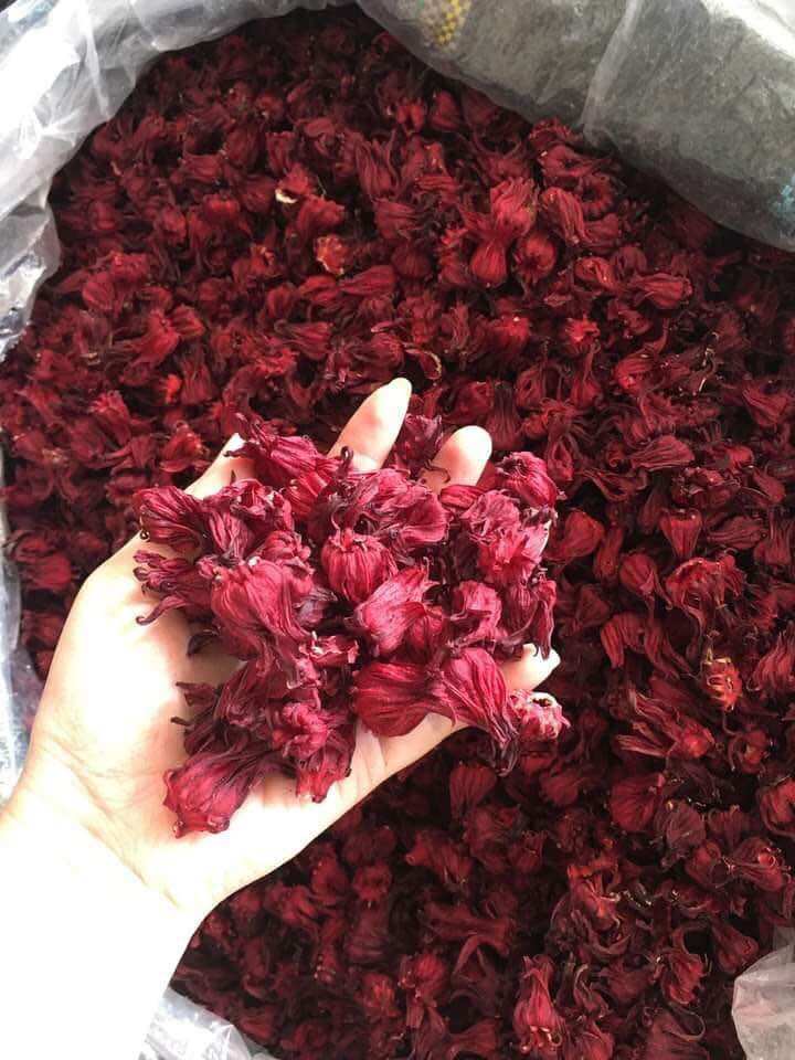Hoa atiso đỏ sấy khô, trà hoa hibicus nguyên bông 1kg