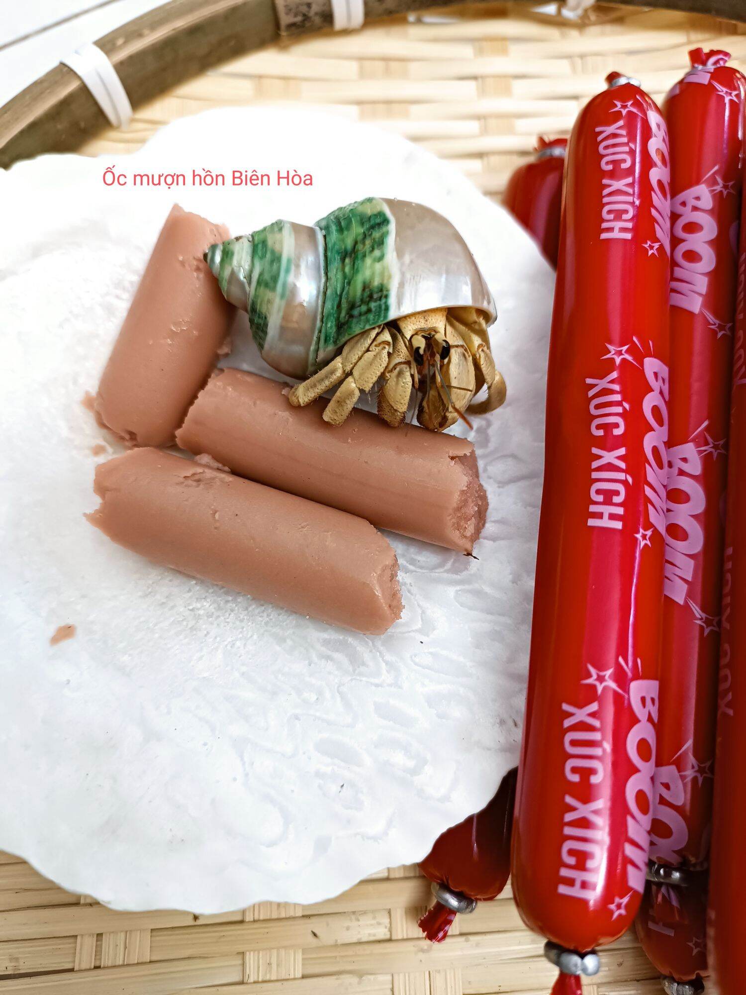 Thức ăn bổ sung đạm cho ốc mượn hồn. OMH Biên Hòa