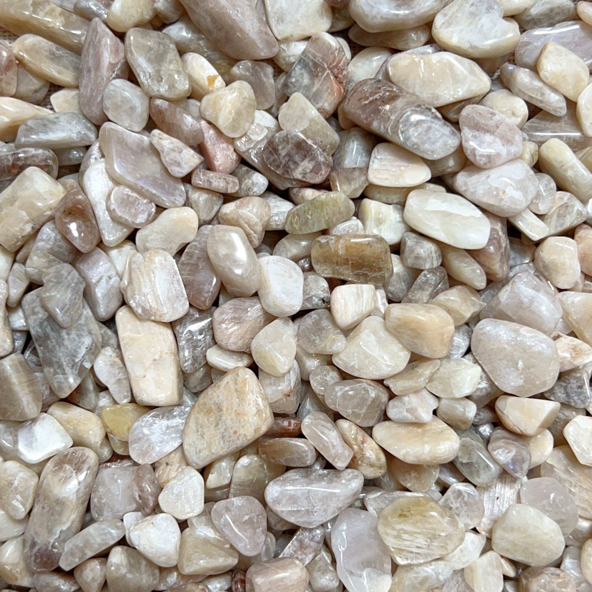 100g Vụn đá Moonstone - Đá mặt trăng tự nhiên