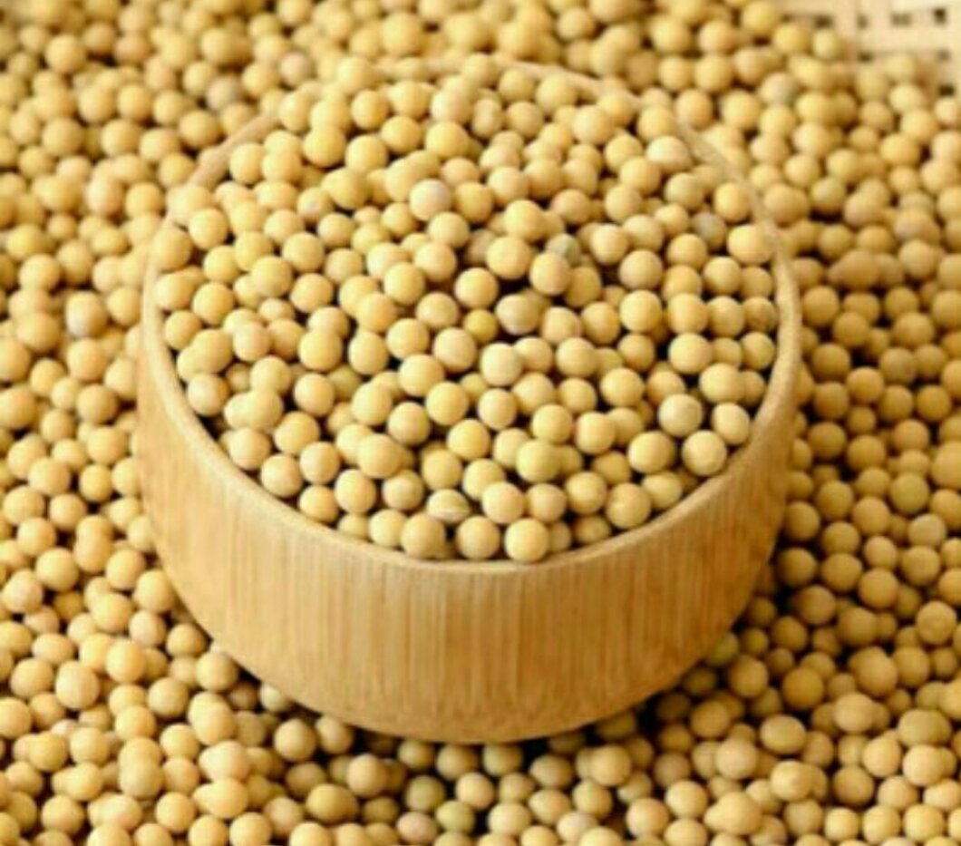Đậu nành nhà quê- 1kg đậu nành dinh dưỡng hữu cơ an toàn cho sức khỏe