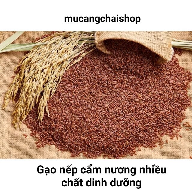 Hạt giống lúa nếp cẩm, nếp tím đen túi 1kg