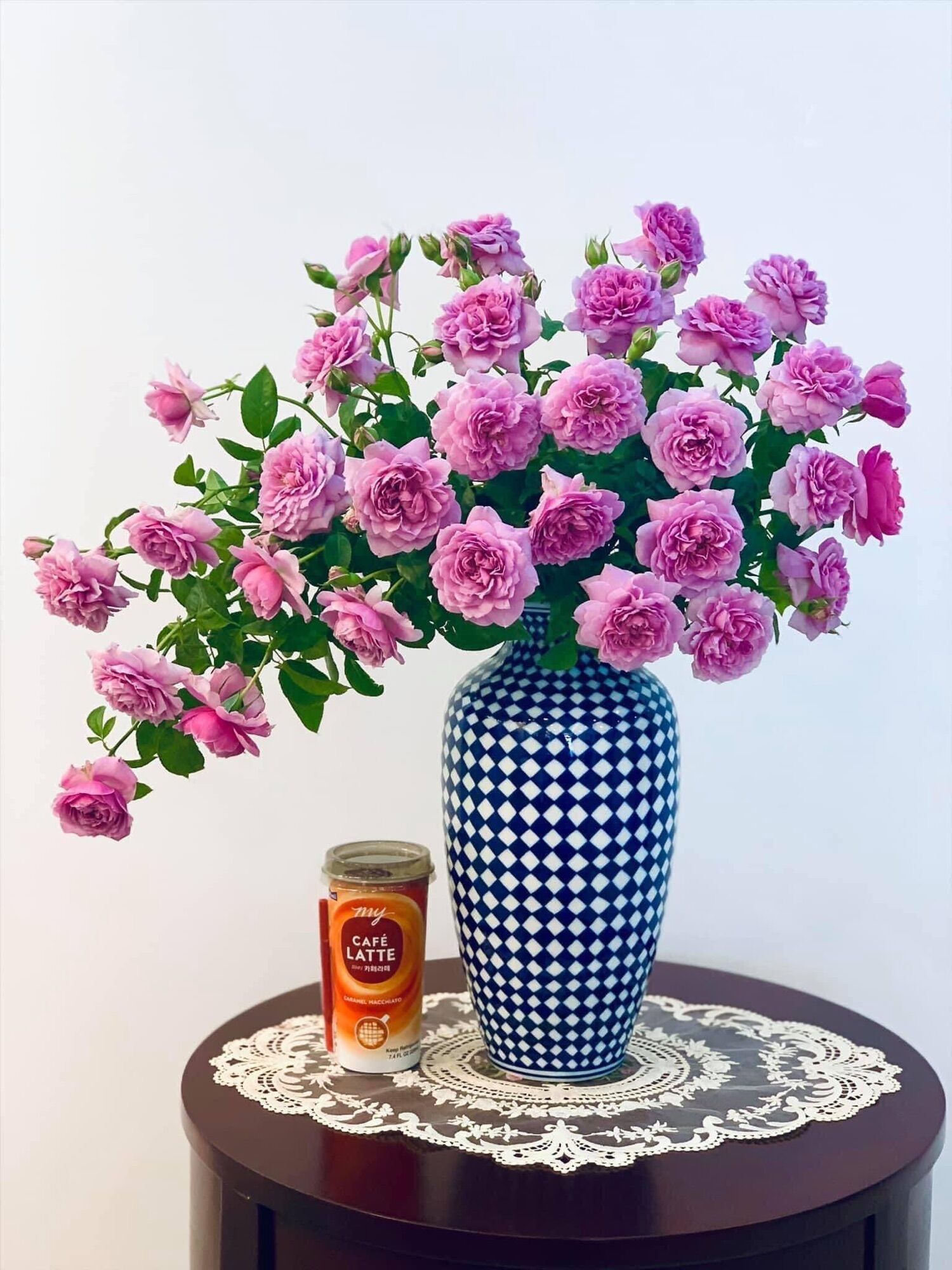 [HCM]Hoa hồng ngoại Blue Sky Rose ( hồng leo)