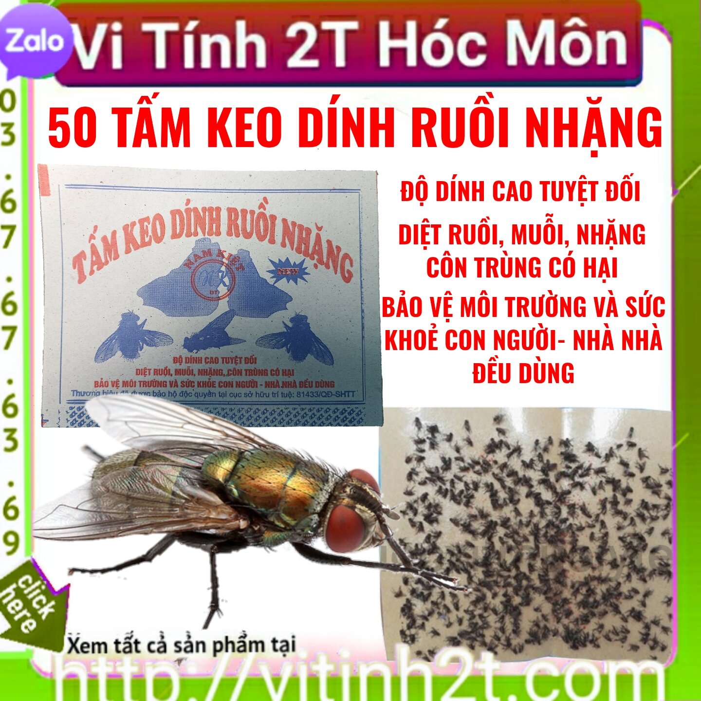 50 Tấm keo dính ruồi nhặng