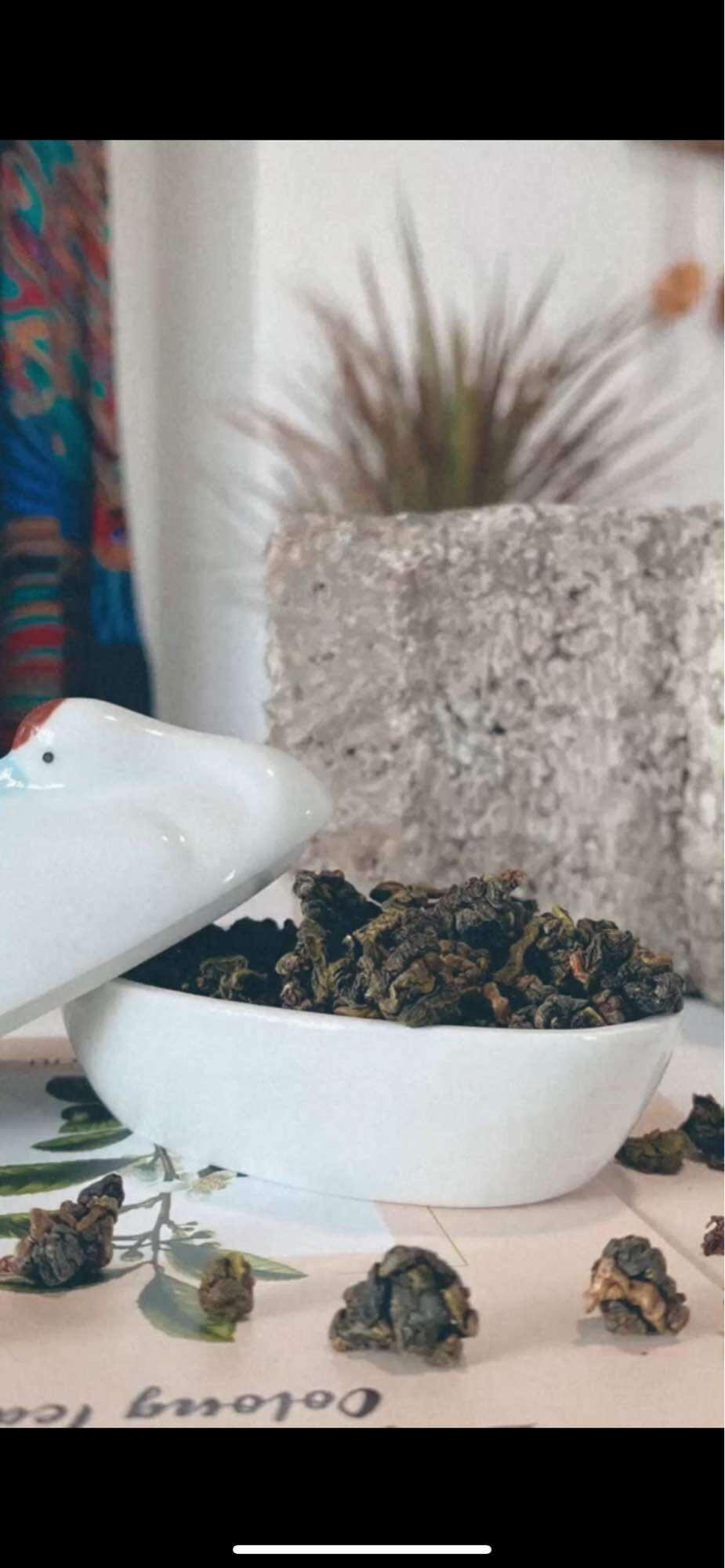TRÀ Ô LONG TỨ QUÝ - DANGGIATEA