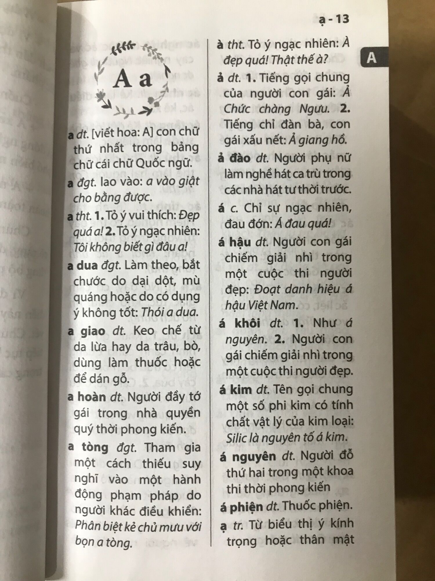 Từ điển tiếng Việt thông dụng (khổ nhỏ)