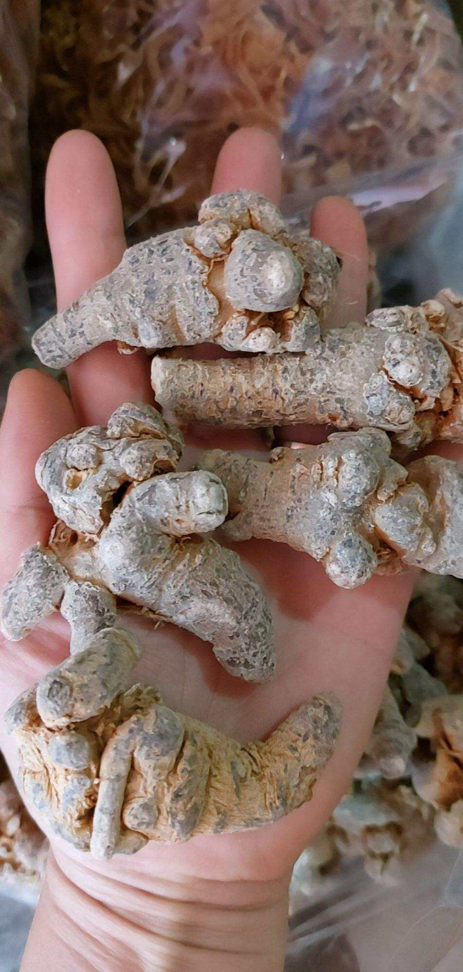 Củ Tam Thất Bắc Khô (1kg) [Quà tặng trị giá 50k/1kg]  Dược Liệu Tây Bắc - Thu Cúc Shop