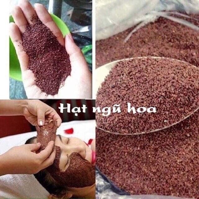 100Gr Ngũ Hoa Hạt Bé( Hạt Đình Lịch) Nguyên Chất Handmade Đắp Mặt Trắng Da Thẩm Mỹ Viện Spa Chuyên Dùng