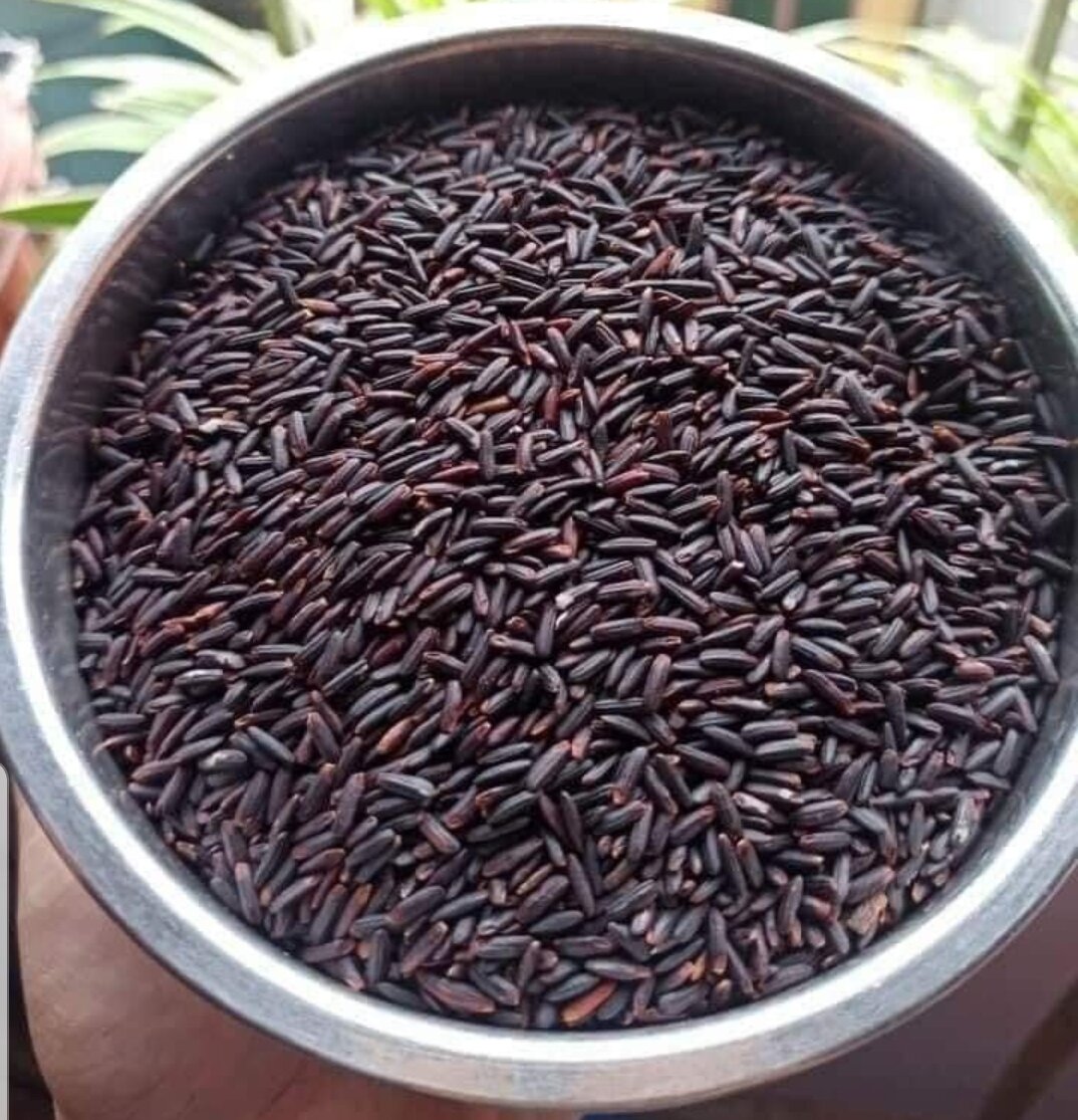 1 kg nếp cẩm Điện Biên loại 1 dẻo, ngọt