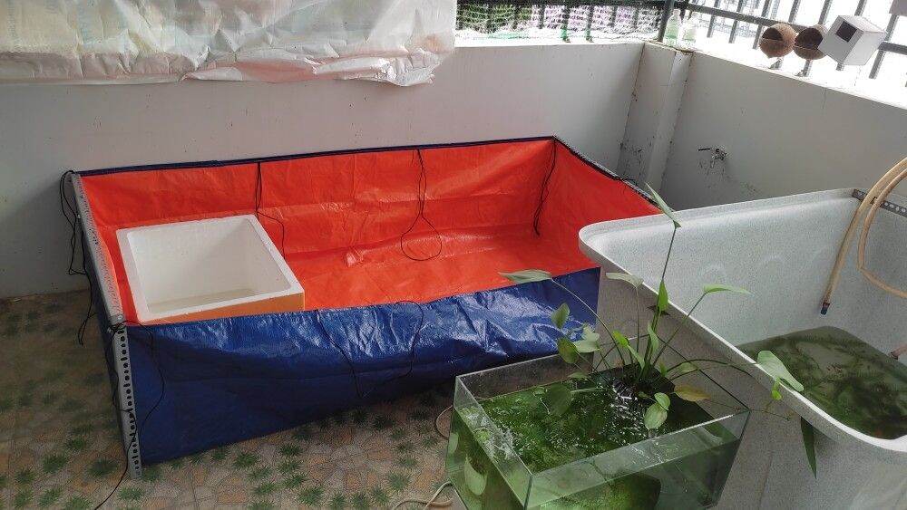 Hồ ,bể bạt nuôi dưỡng cá cảnh
