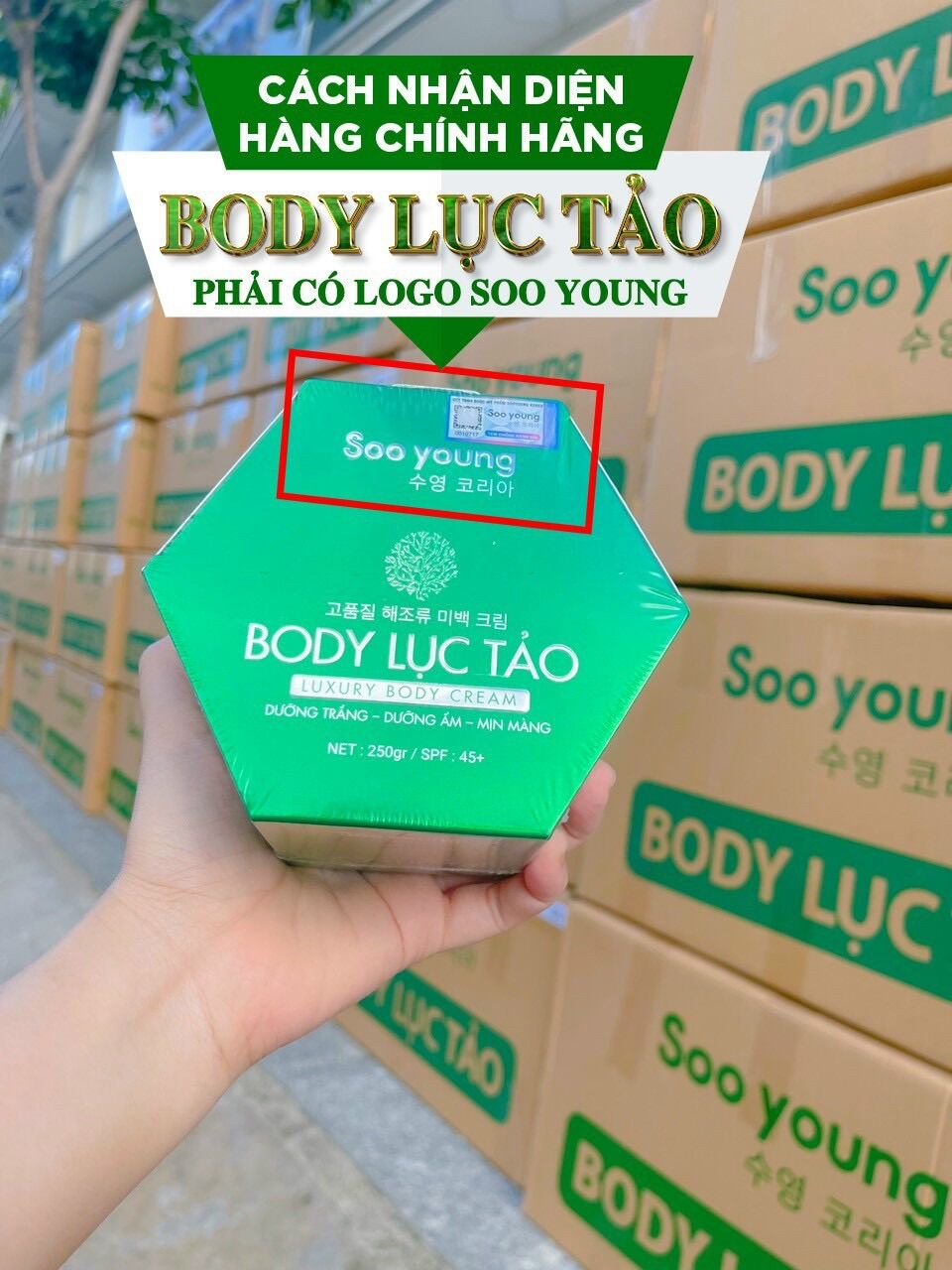 KEM BODY LỤC TẢO ( Sản phẩm chính hãng SOOYOUNG )