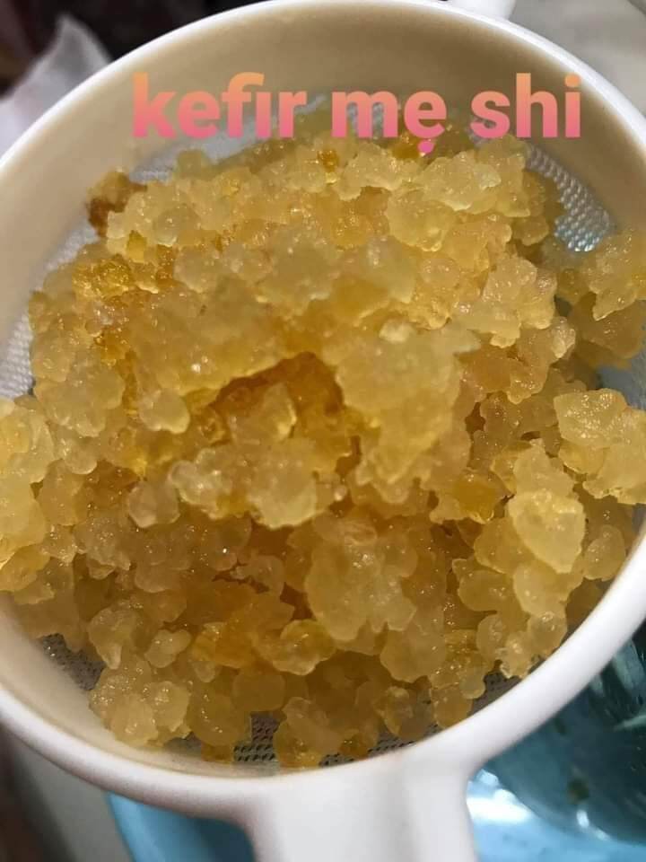 con giống nấm nước water kefir 10 gram..