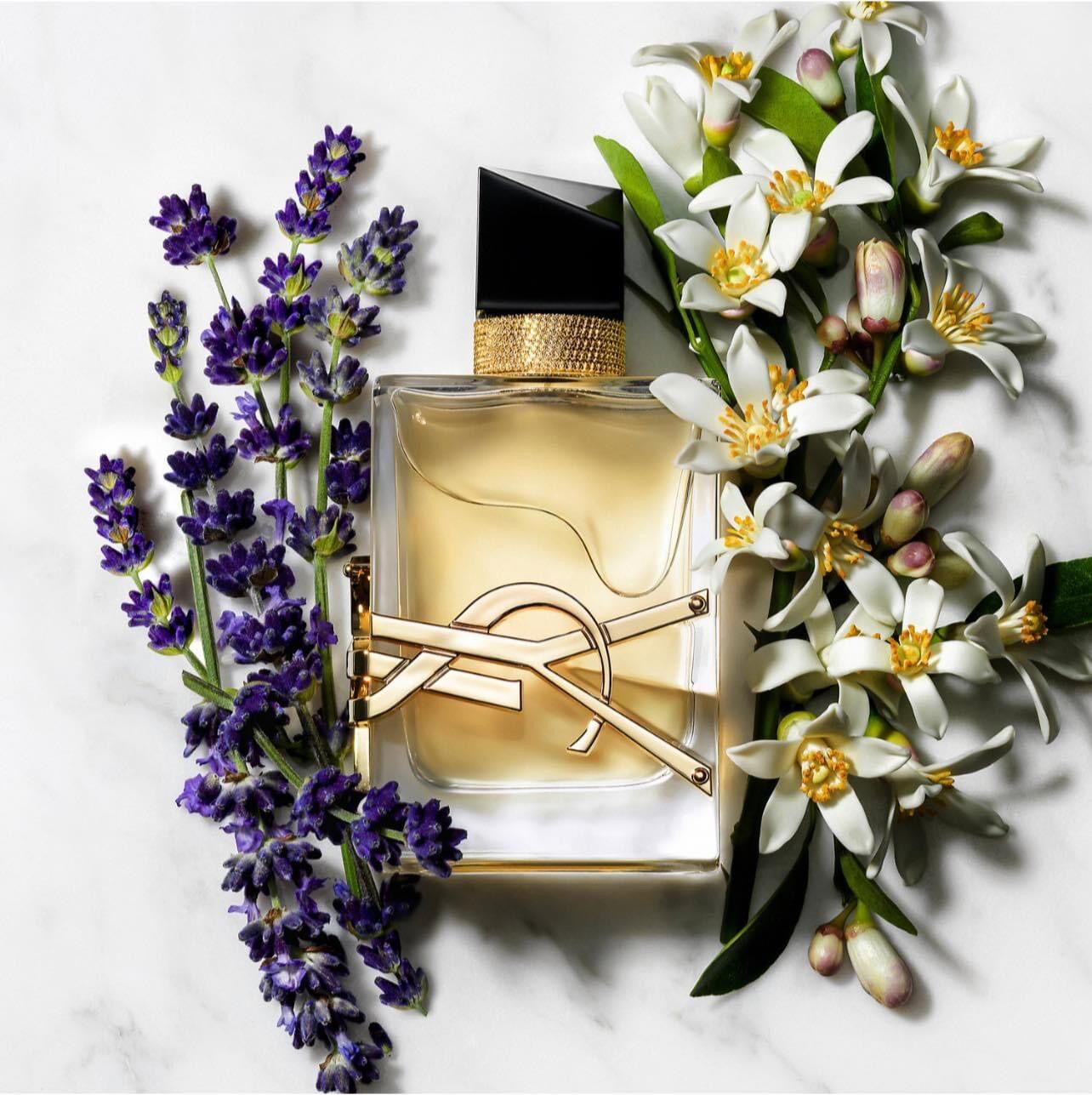 Sample nước hoa ysl/grace