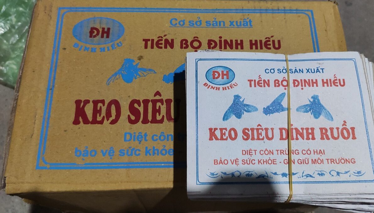 Combo 10 miếng keo dính ruồi Định Hiếu