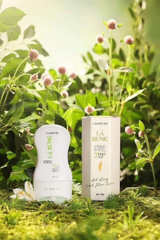 cao tan mỡ lá rừng drcell