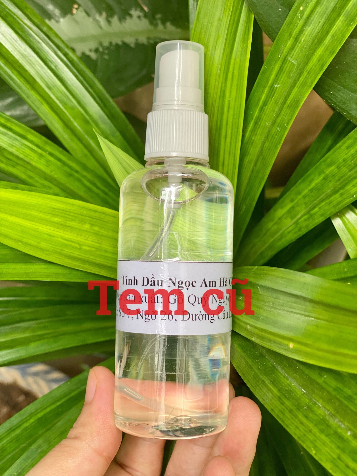 Tinh Dầu Gỗ Ngọc Am Đỏ Hà Giang 100ml