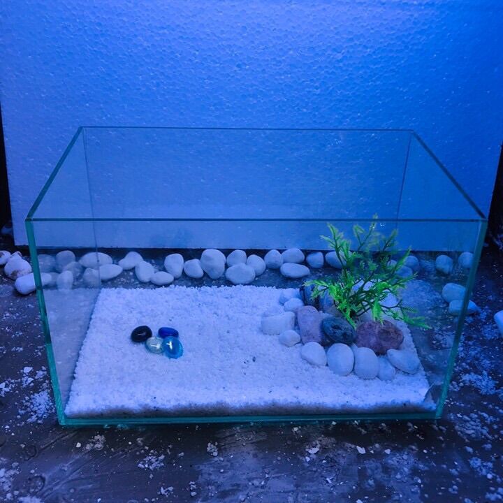 bể cá mini siêu đẹp 30*17*17 kính 5ly