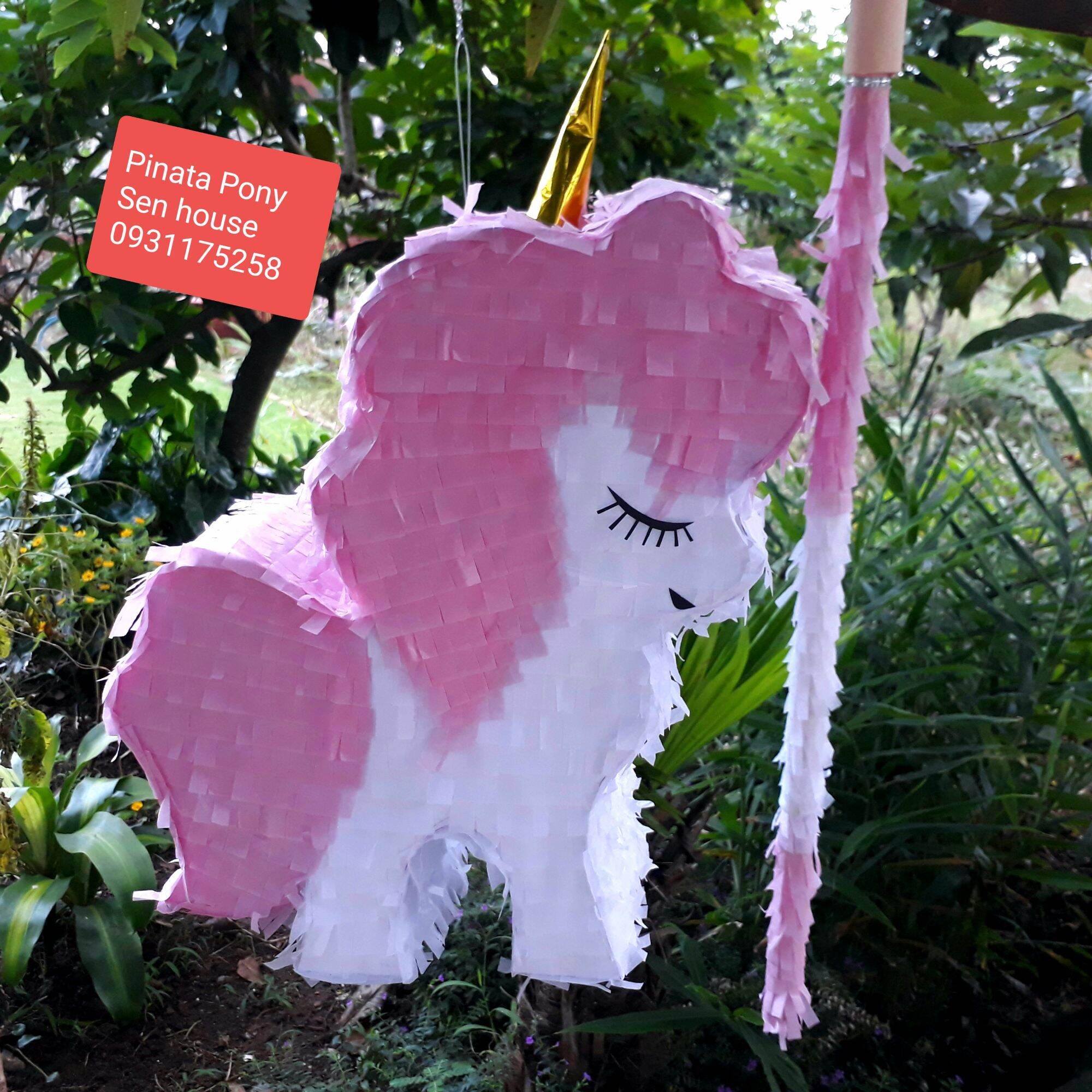 Pinata Pony
