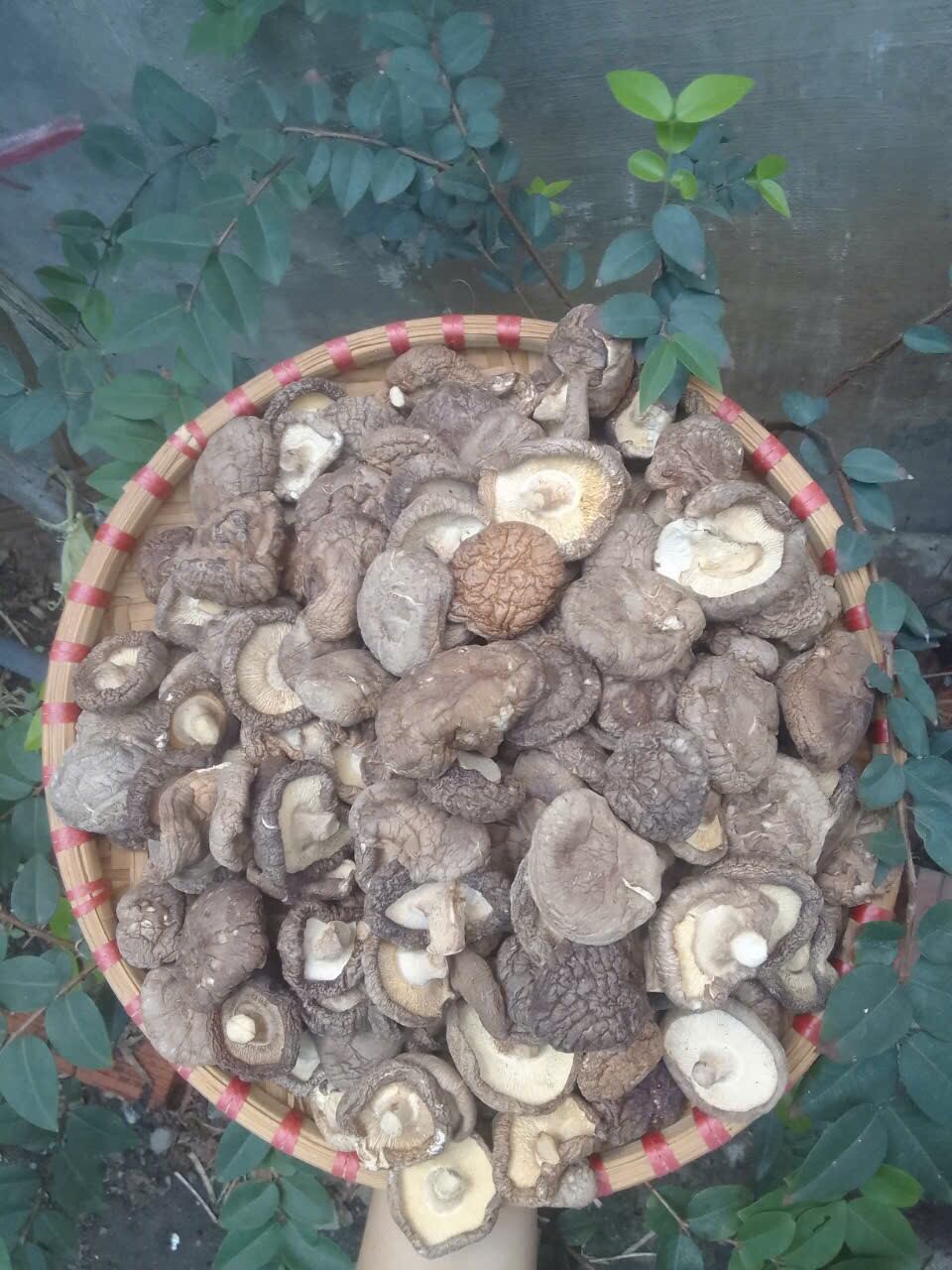 [Loại 1] 500g Nấm Đông Cô (Nấm Hương)