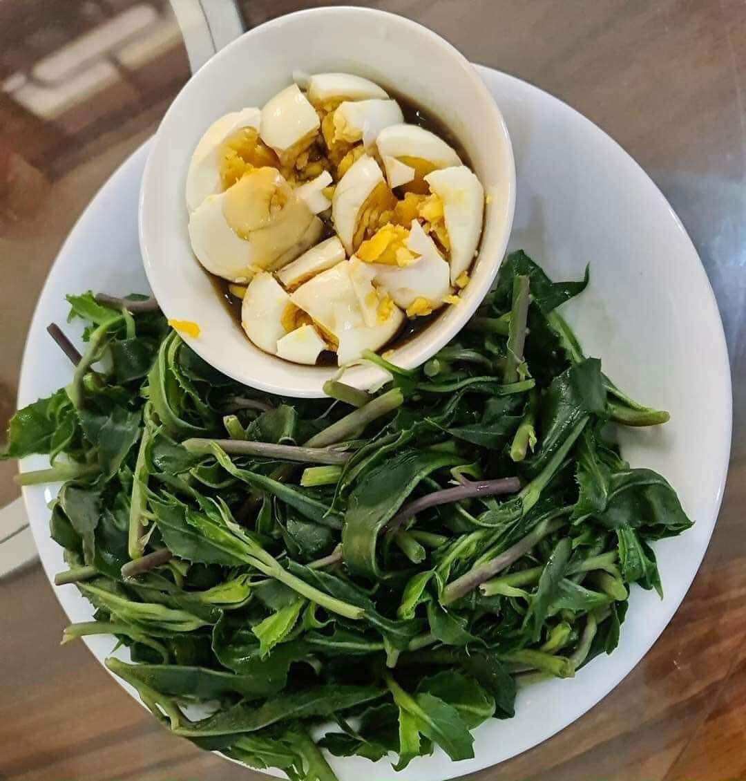 Cây giống rau lủi, rau rừng