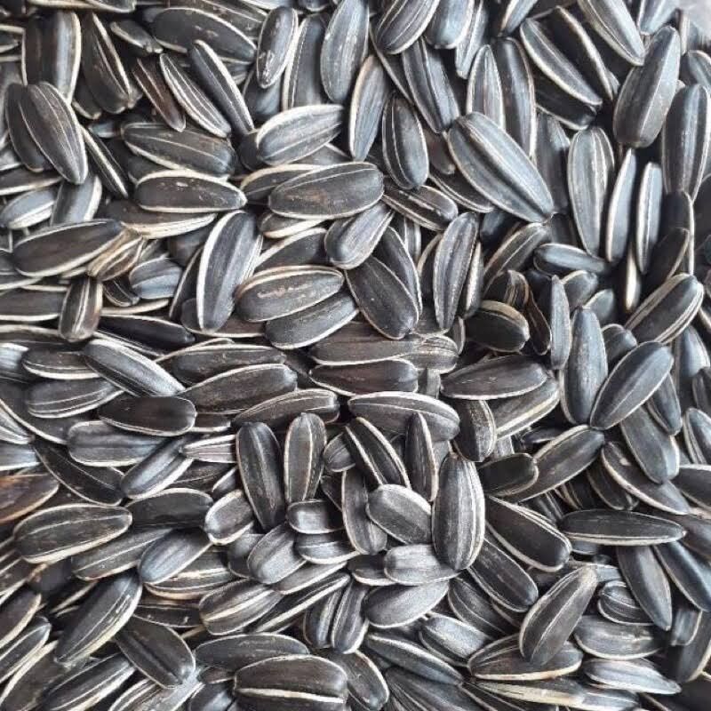 500G Hạt hướng dương