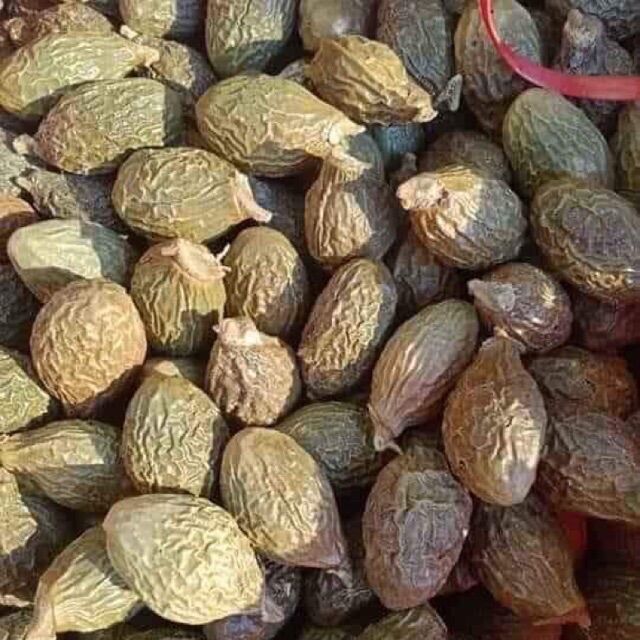 1kg hạt ươi bay rừng, to đều chuẩn từng hạt