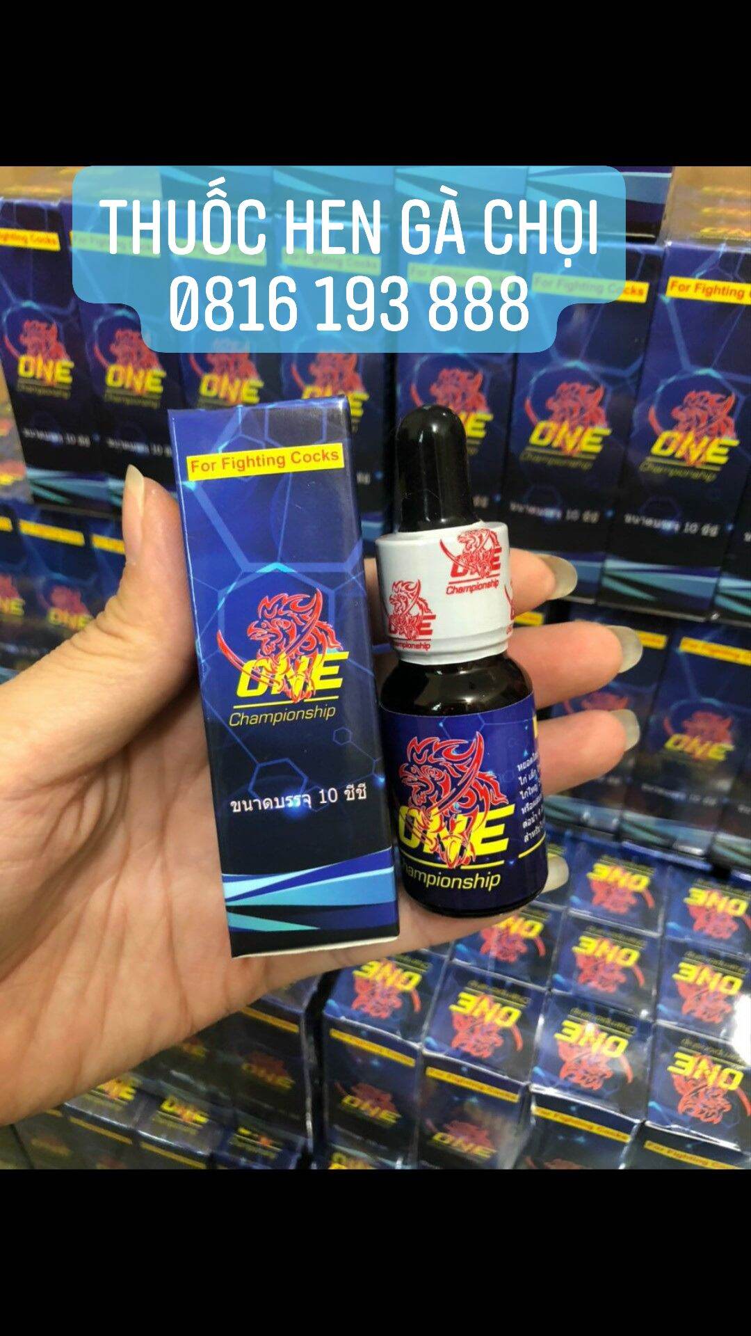Hen one cho gà chọi