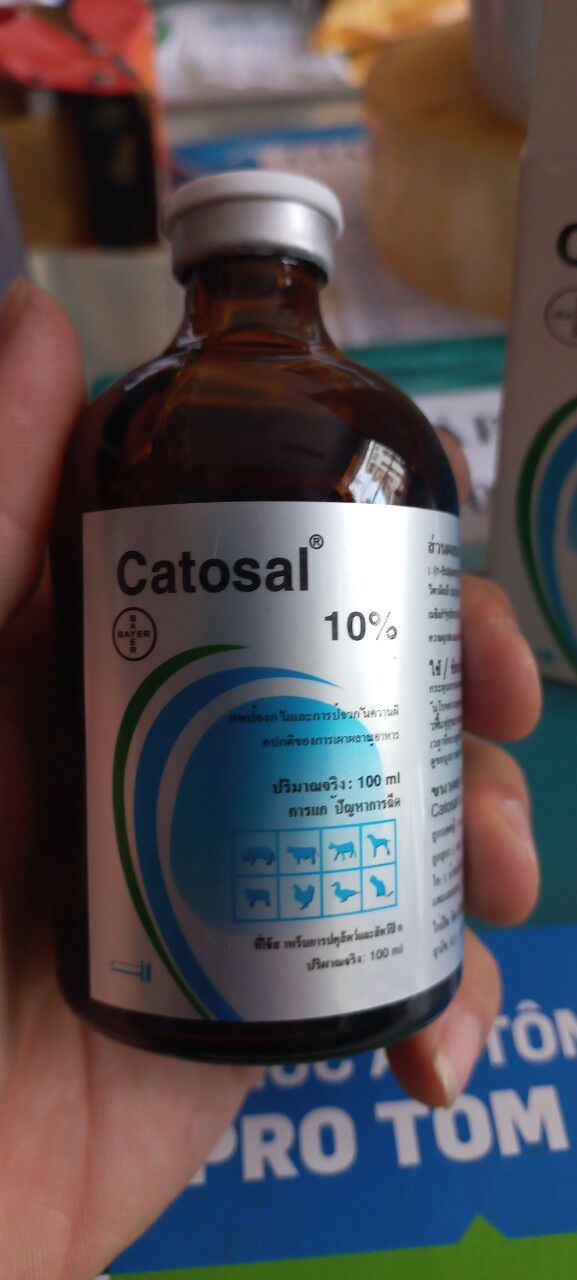 Thuốc bổ Catosal bayer cho Chó,mèo, Gafđá. Tăng lực. Giúp vật nuôi phát triển